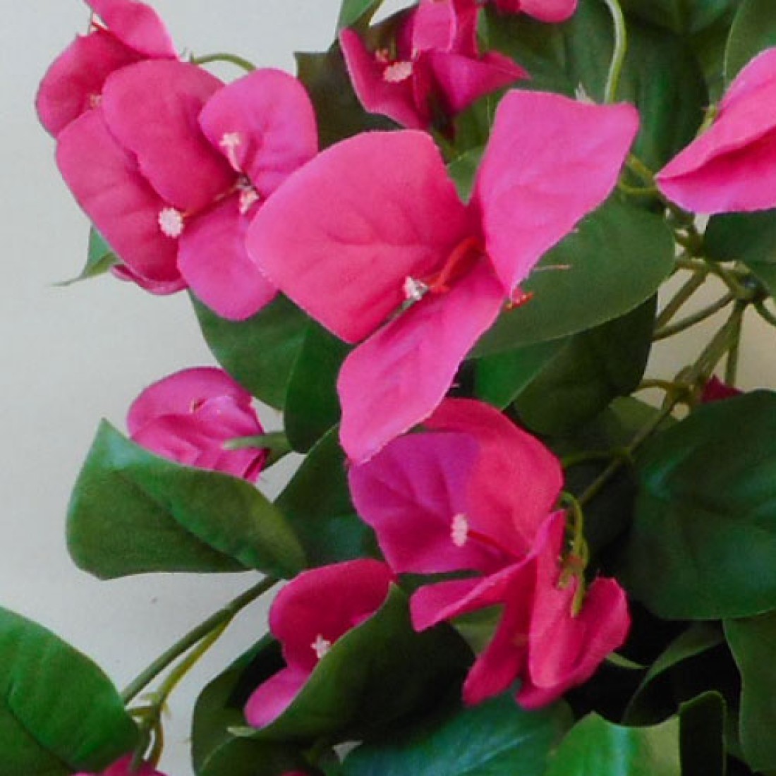 Artificial Trailing Bougainvillea Plant Hot Pink 60cm Artificial Flowers